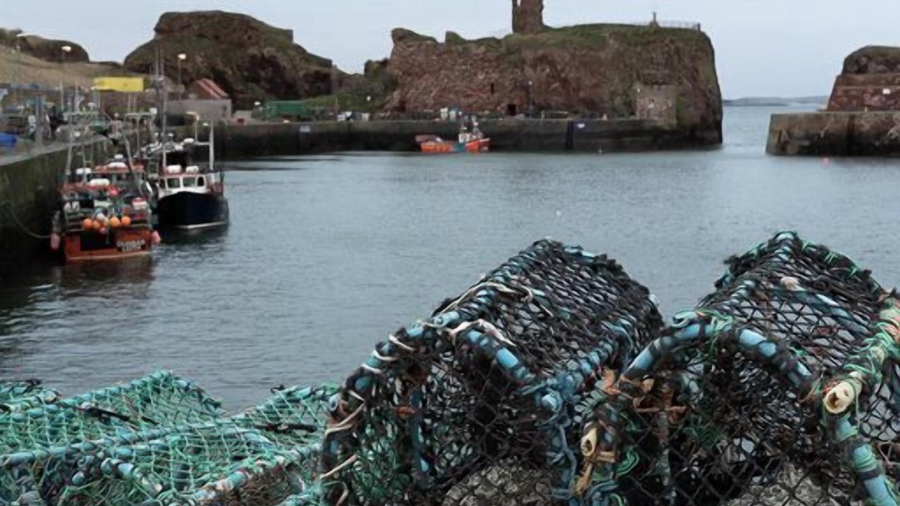 Photo of Others in Dunbar