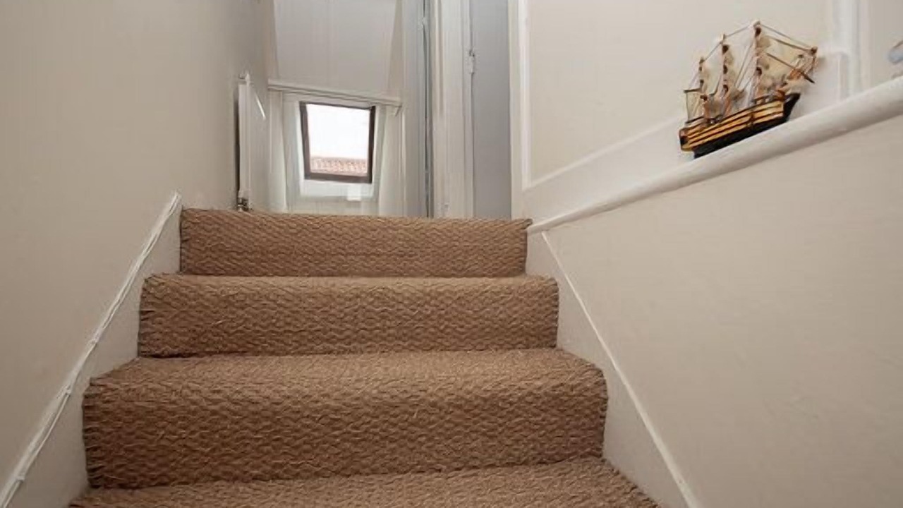 Photo of Others in Dunbar