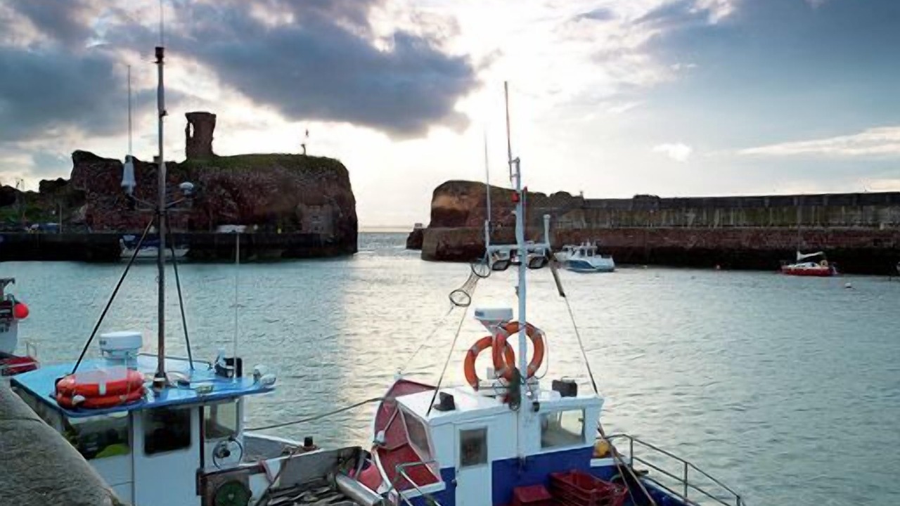 Photo of Others in Dunbar