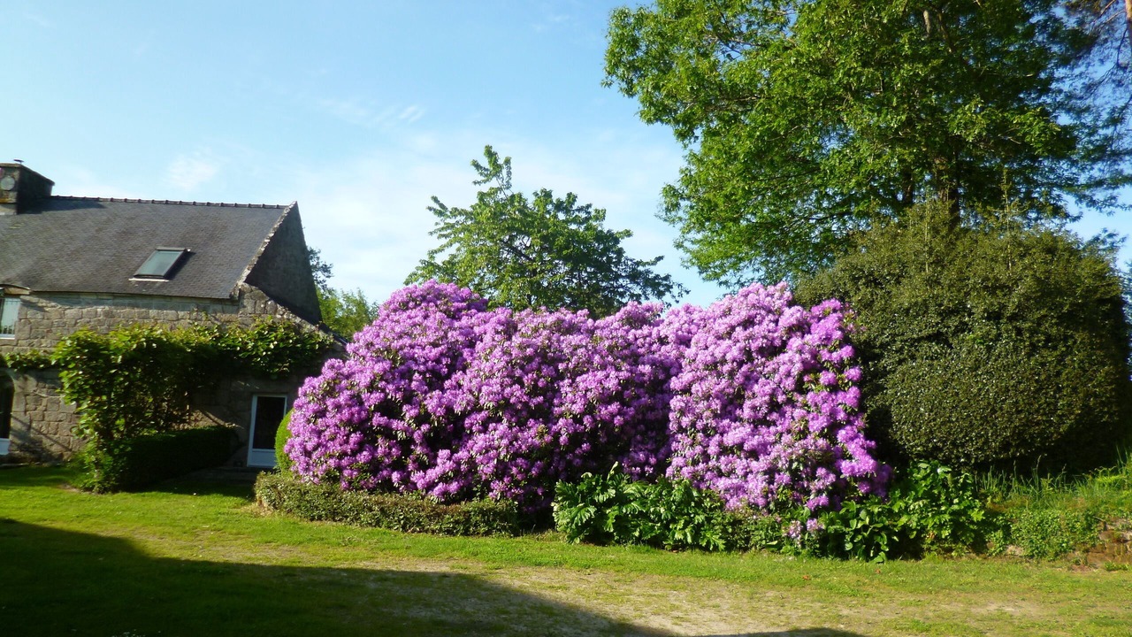 Photo of Outdoor in Bieuzy