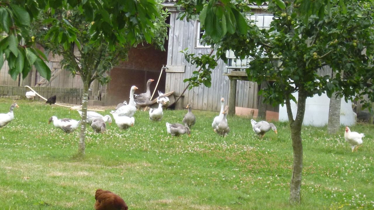 Photo of Outdoor in Bieuzy