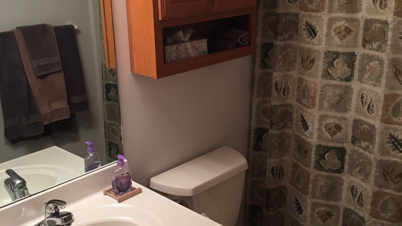 Photo of Bathroom in Lake Township