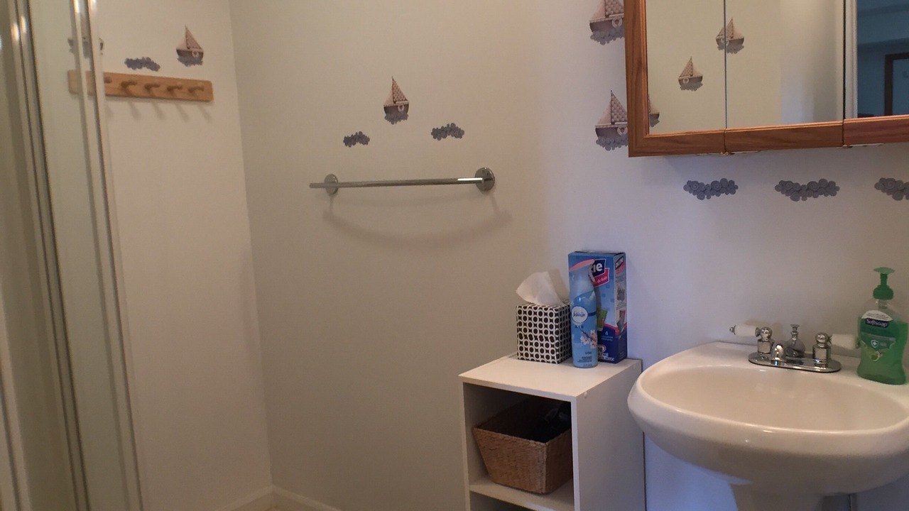 Photo of Bathroom in Lake Township