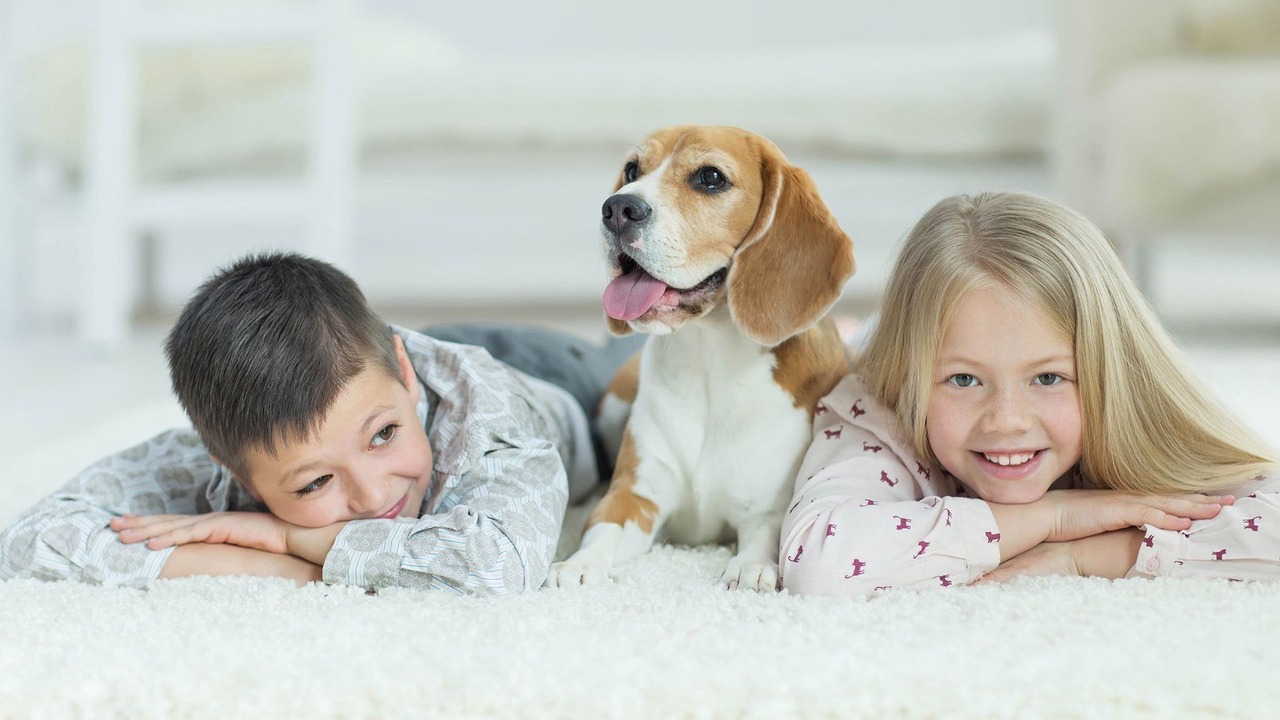 Photo of Others in Richmond North