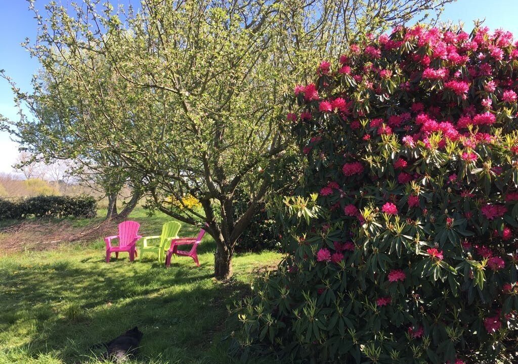 Photo of Outdoor in Bangor