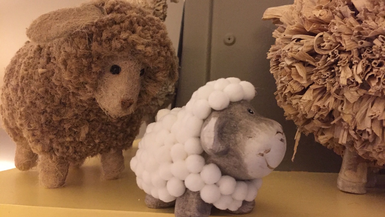 Photo of Others in Bangor