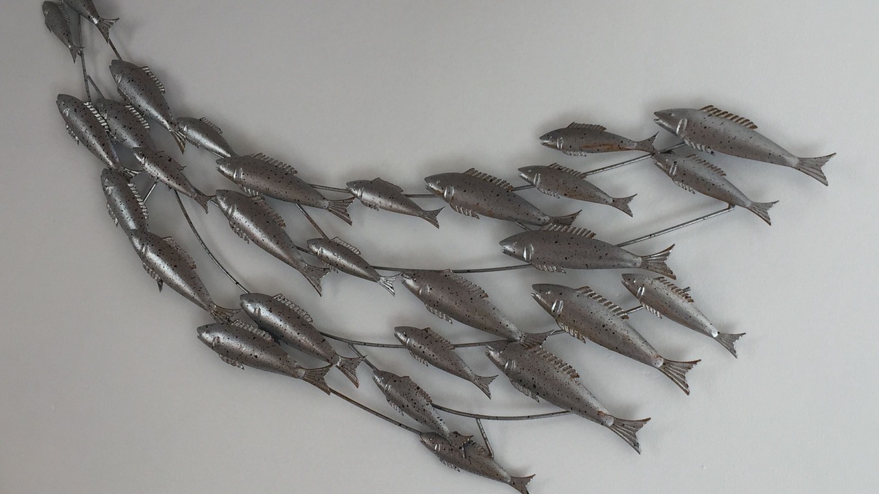 Photo of Others in Bangor