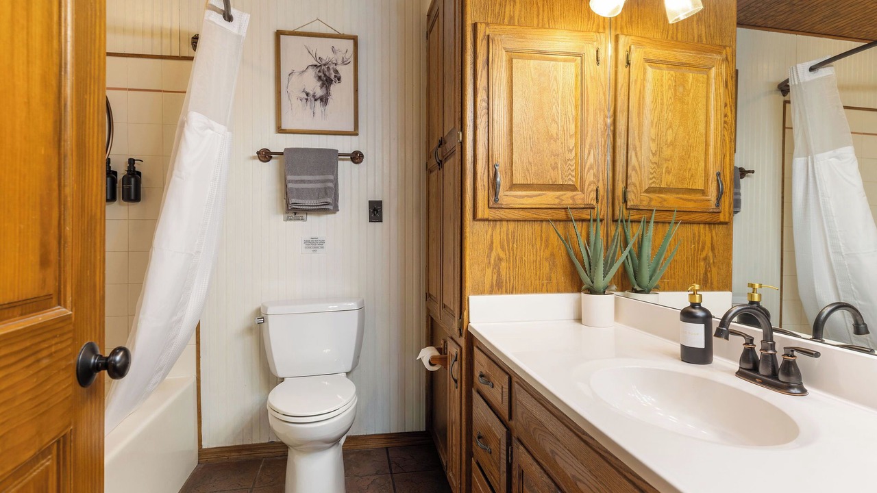 Photo of Bathroom in Branson Theater District
