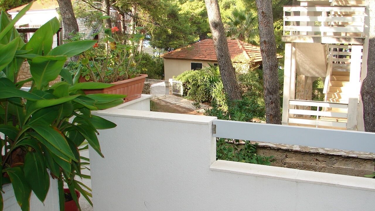 Photo of Others in Island Hvar