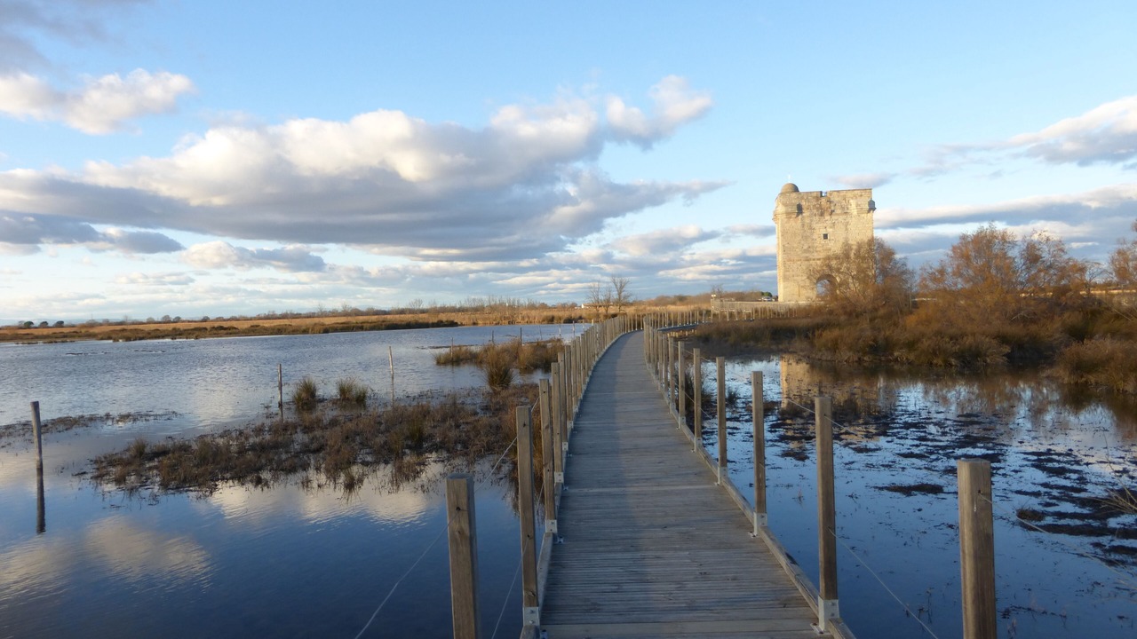 Photo of Outdoor in Nages-et-Solorgues
