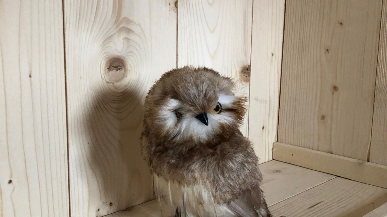 Photo of Others in Mont-de-Lans