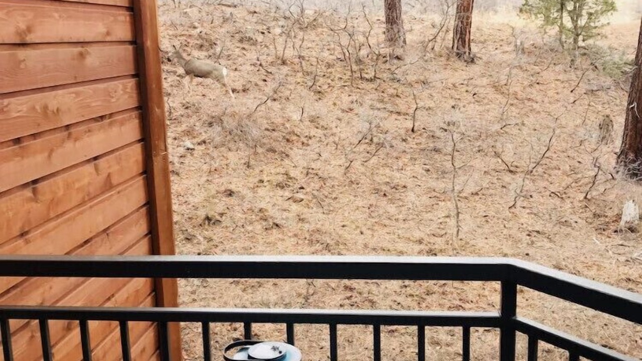 Photo of Outdoor in Purgatory