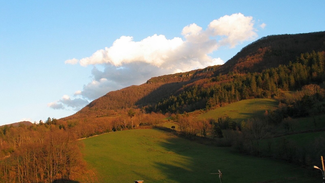 Photo of Others in Sougraigne