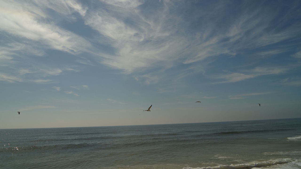 Photo of Others in Orange Beach