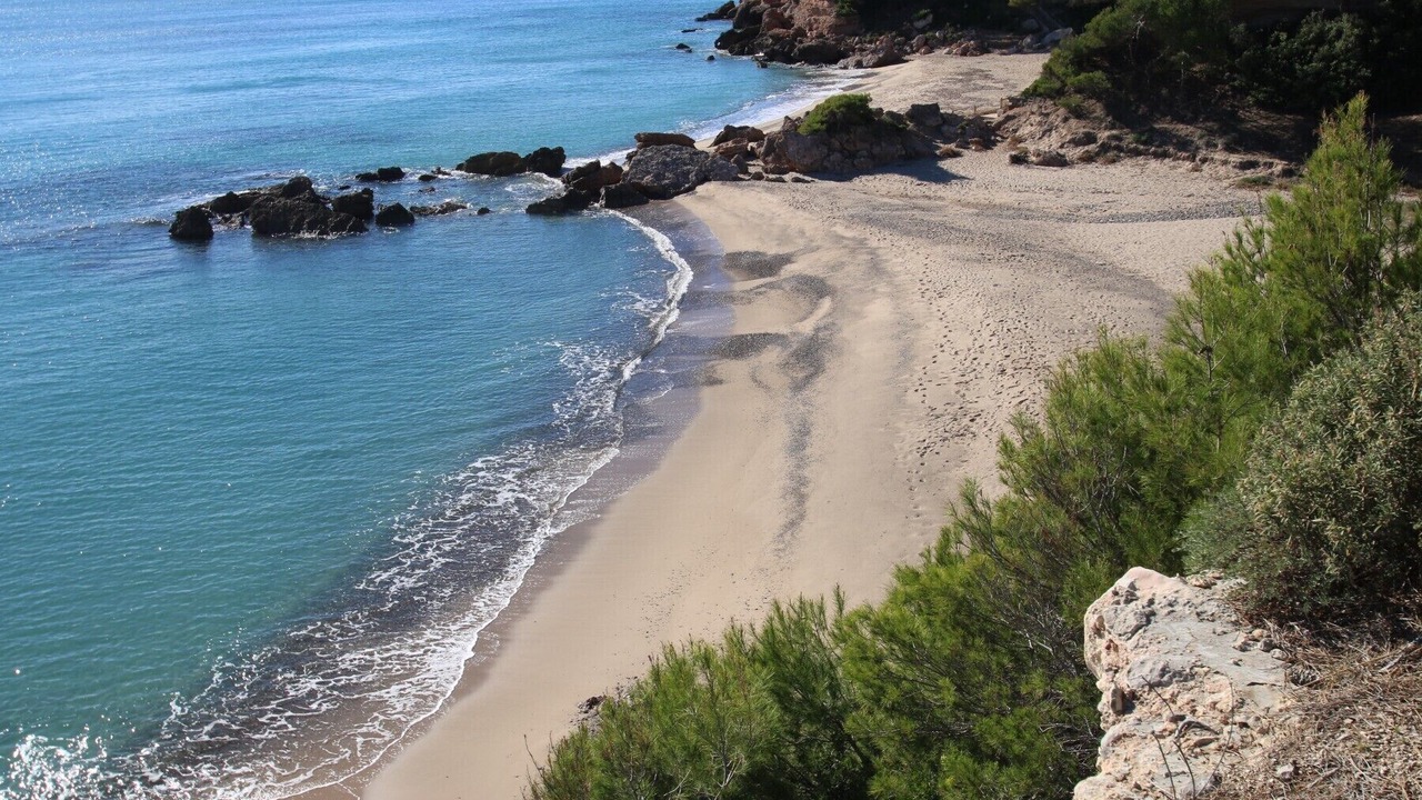 Photo of Others in Parc de Mont-roig