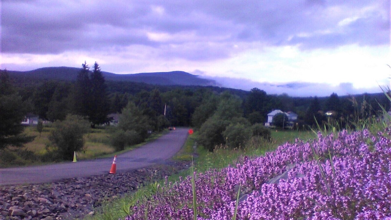 Photo of Others in Windham
