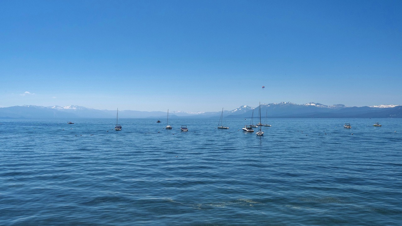 Photo of Outdoor in Dollar Point