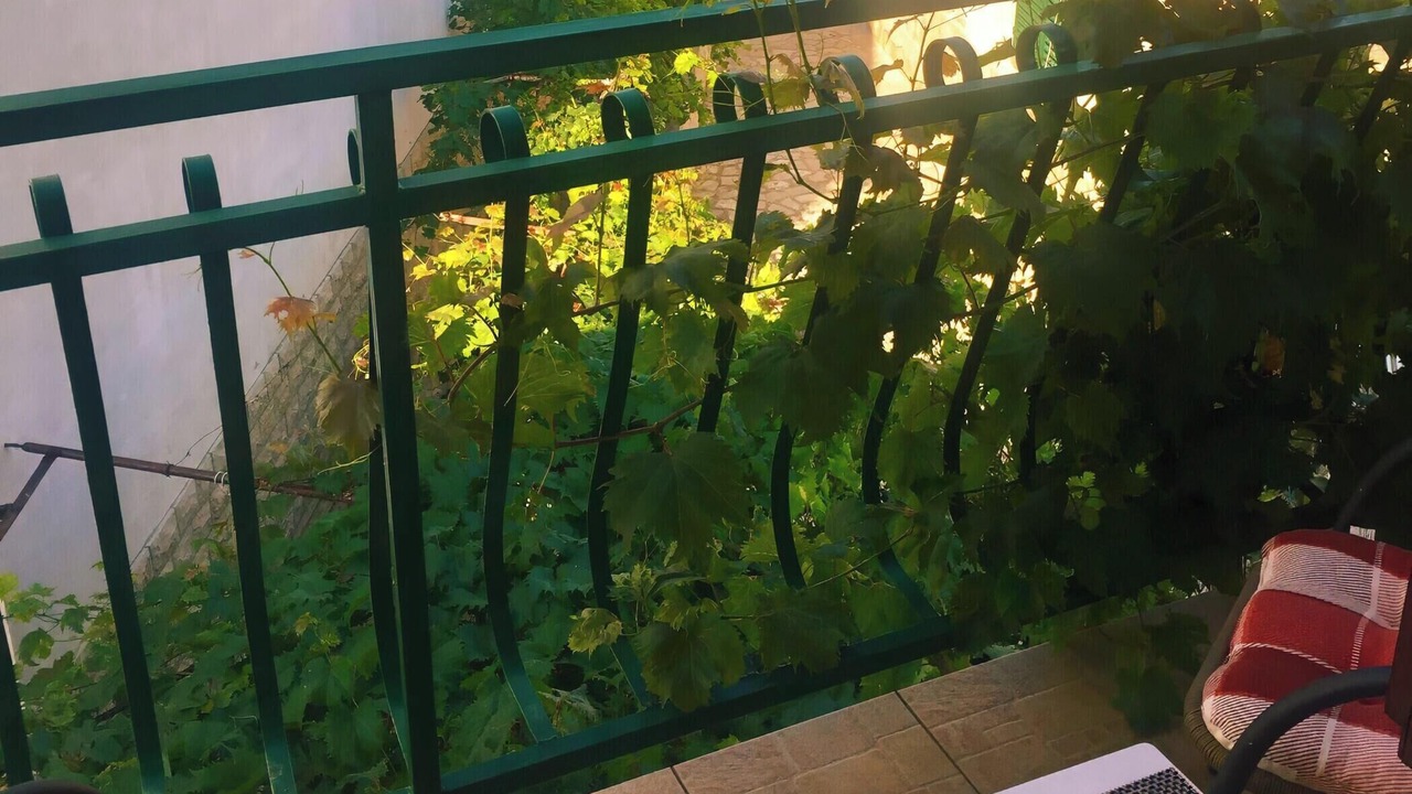 Photo of Outdoor in Kaprije