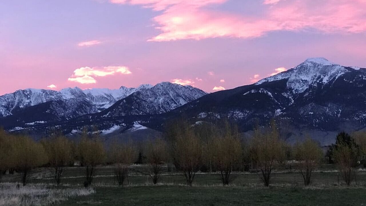 Photo of Outdoor in Livingston