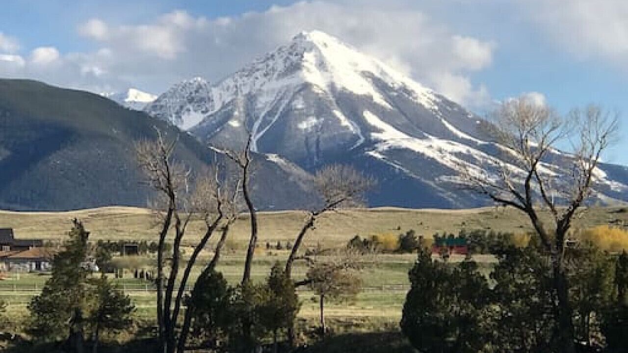 Photo of Others in Livingston