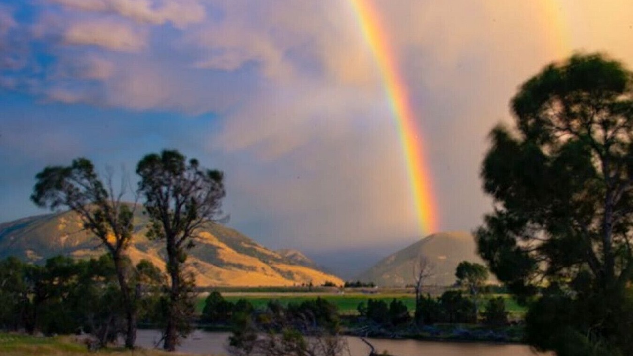 Photo of Others in Livingston