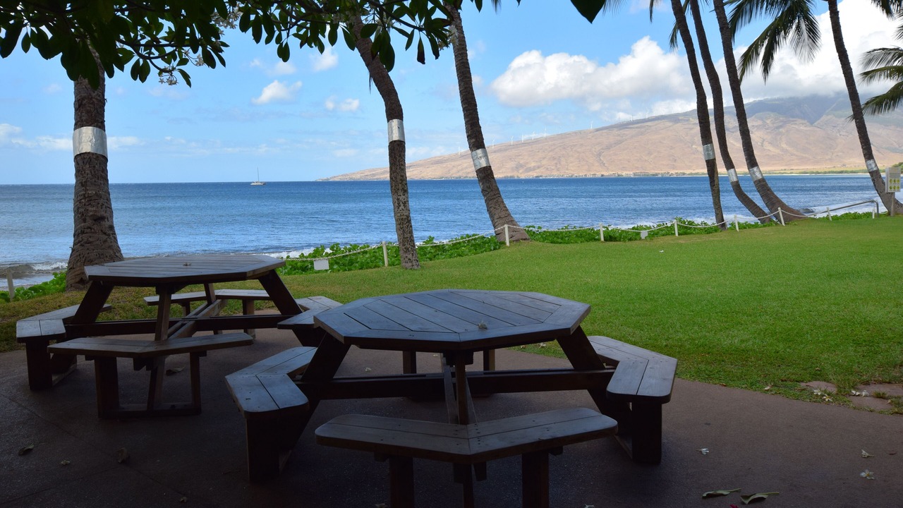 Photo of Others in Kihei