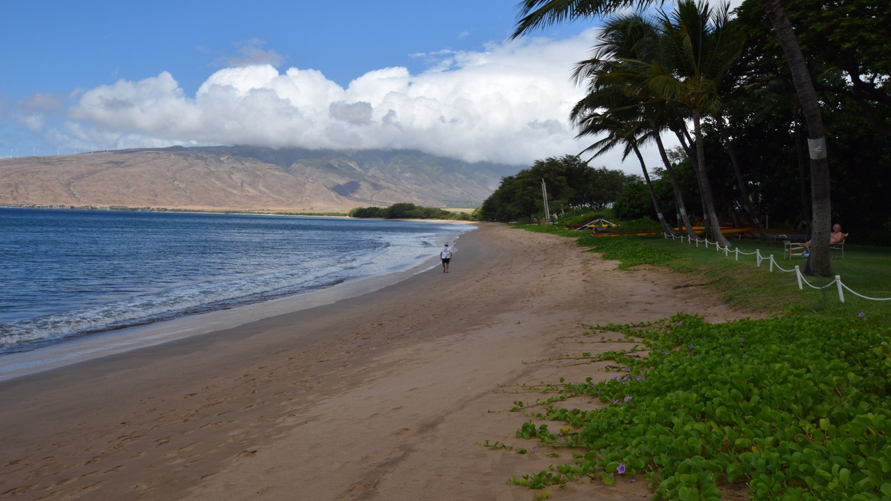 Photo of Others in Kihei