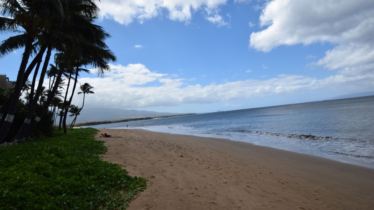 Photo of Others in Kihei