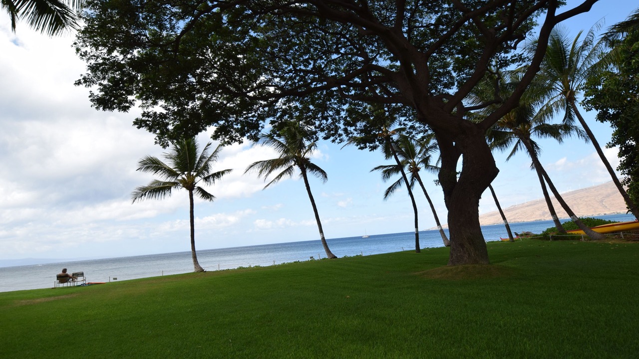 Photo of Others in Kihei