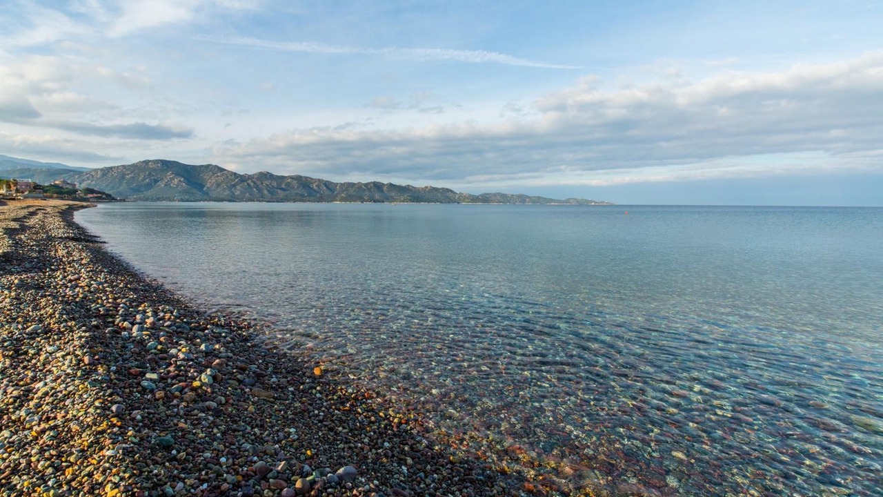 Photo of Others in Saint-Florent