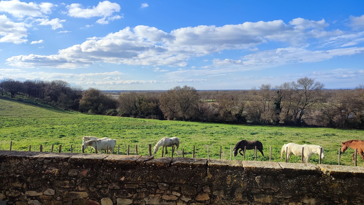 Photo of Outdoor in Le Cailar