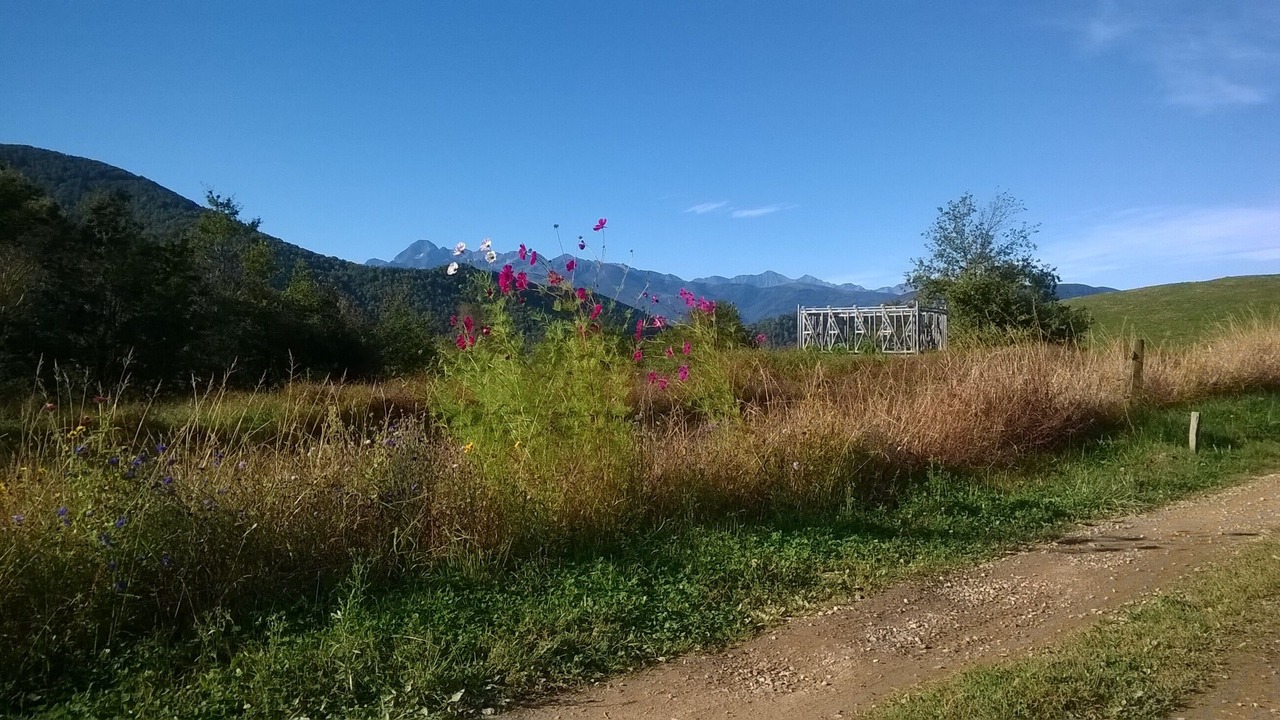 Photo of Outdoor in Riverenert