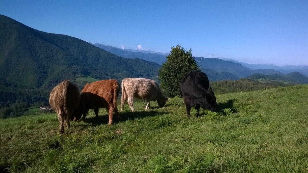 Photo of Outdoor in Riverenert