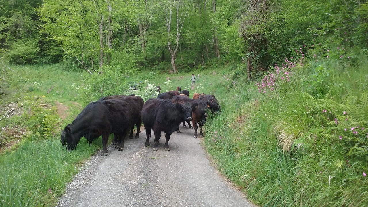 Photo of Outdoor in Riverenert