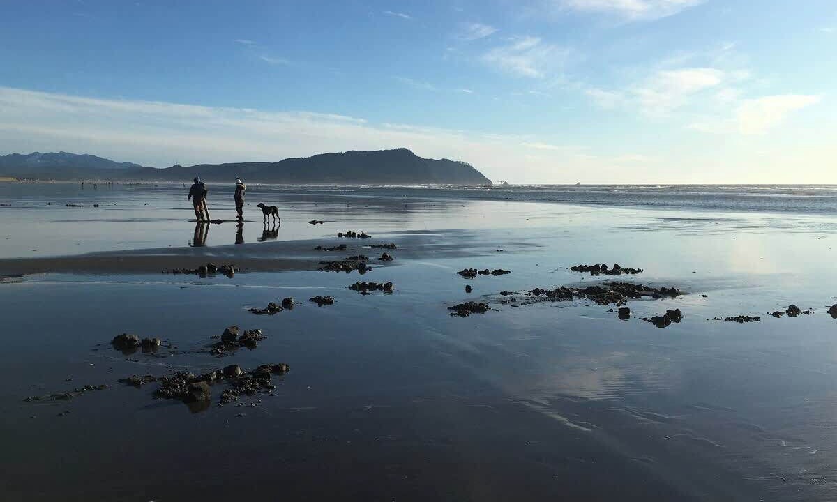 Photo of Others in Gearhart