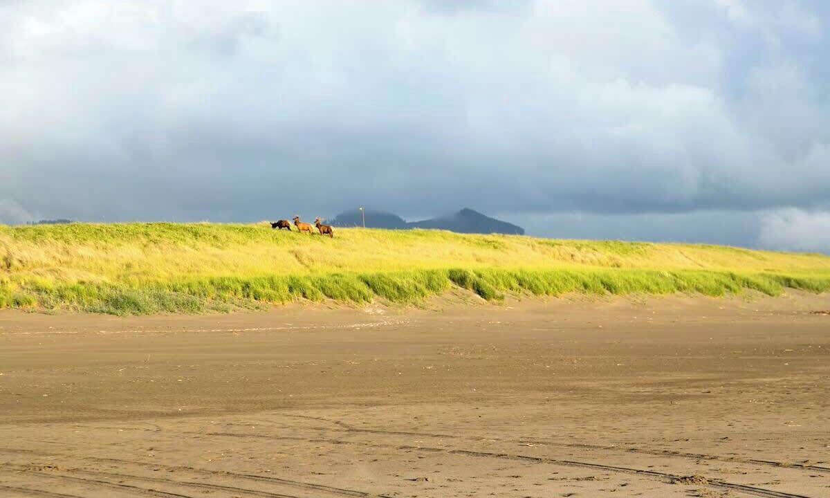 Photo of Others in Gearhart