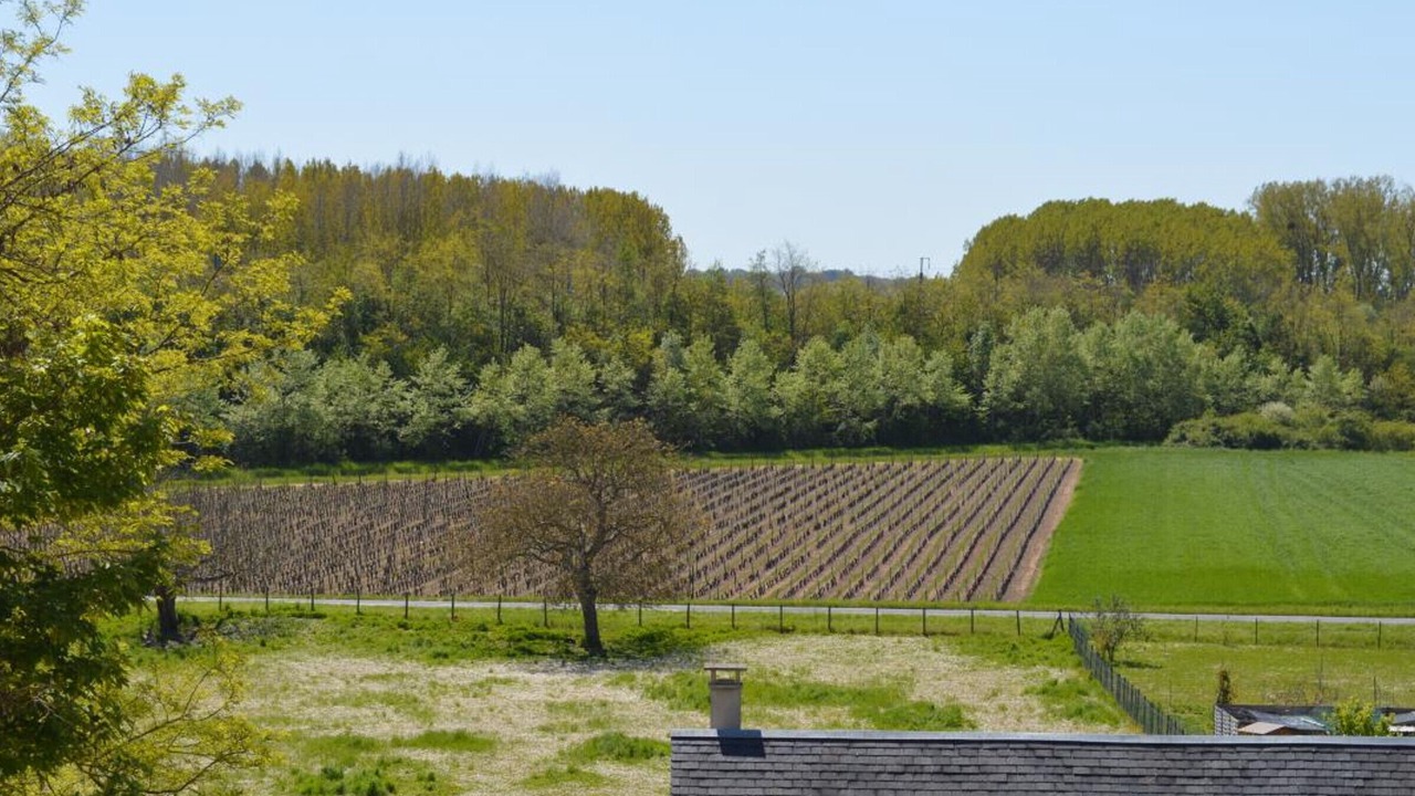 Photo of Others in Vouvray