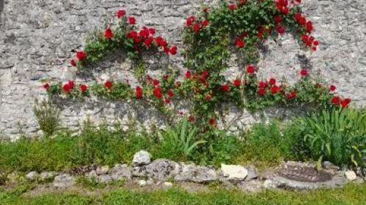 Photo of Others in Chedigny