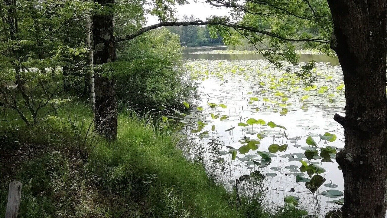Photo of Outdoor in Saint-Yan