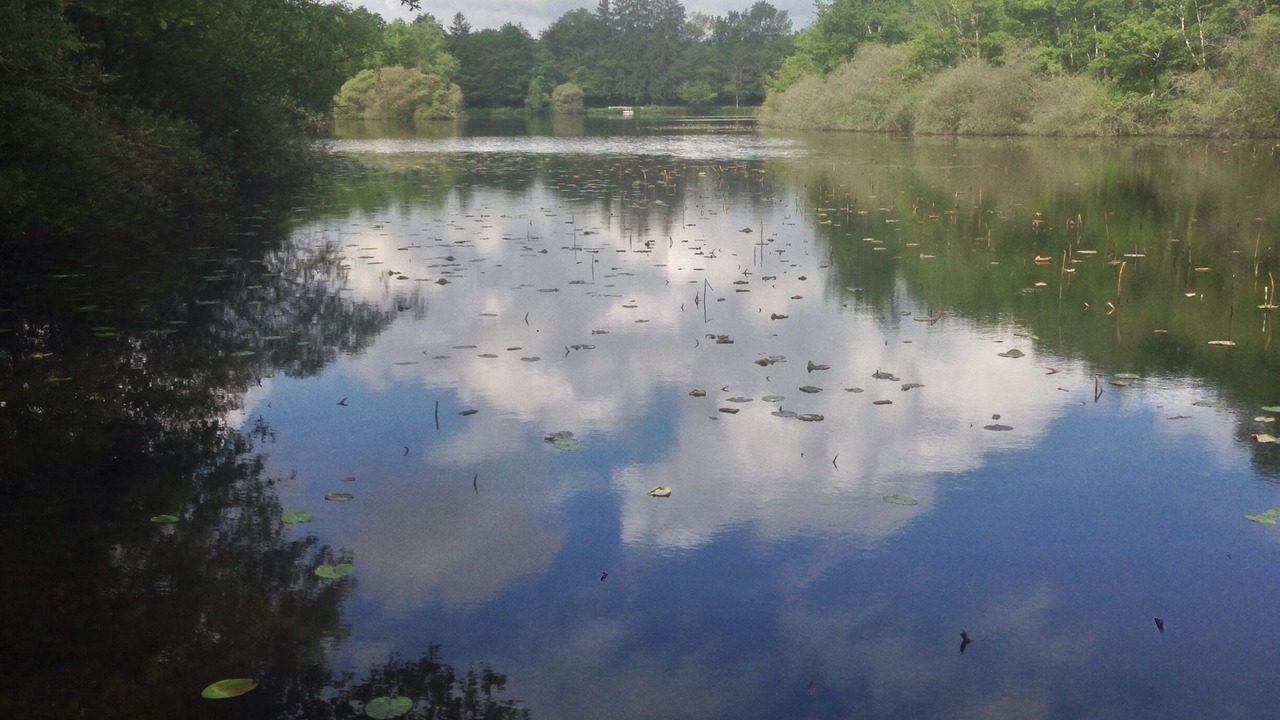 Photo of Outdoor in Saint-Yan
