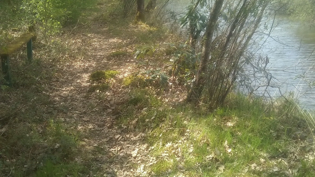 Photo of Outdoor in Saint-Yan