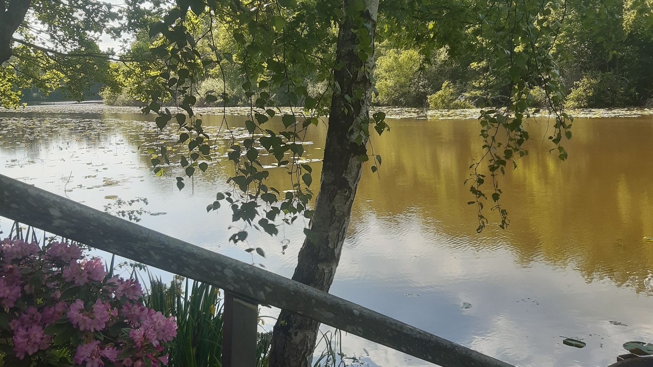 Photo of Outdoor in Saint-Yan
