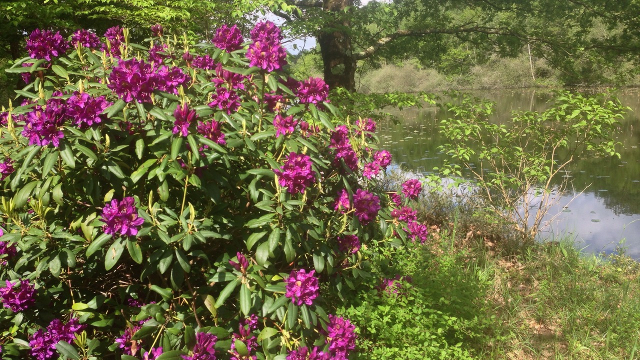 Photo of Outdoor in Saint-Yan