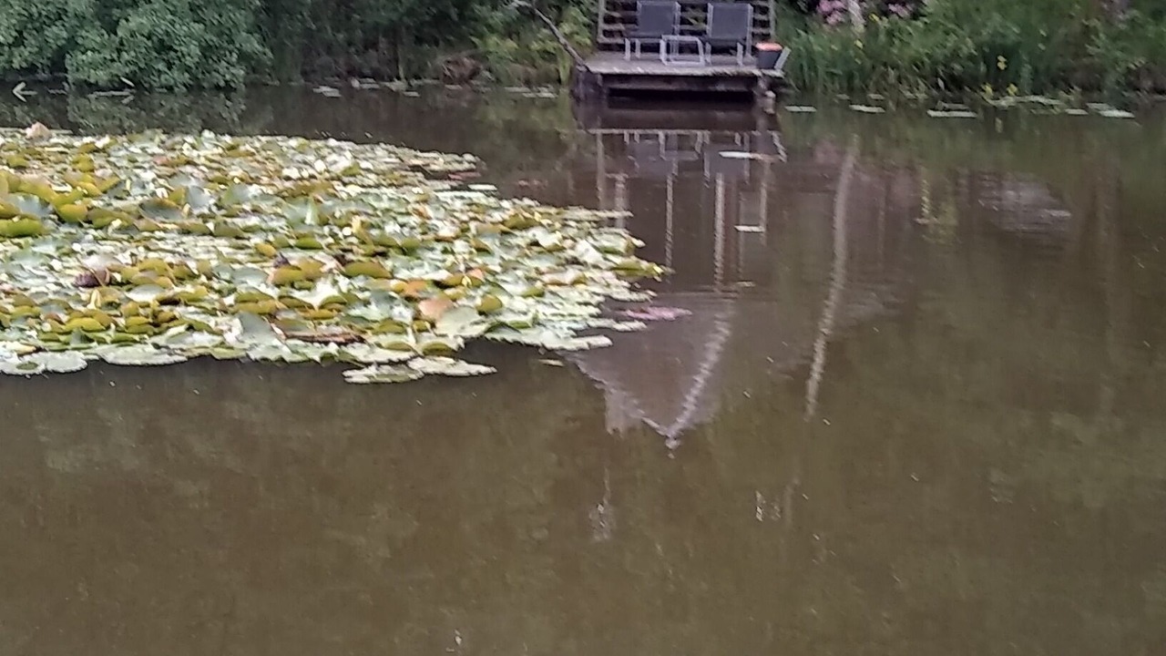 Photo of Outdoor in Saint-Yan