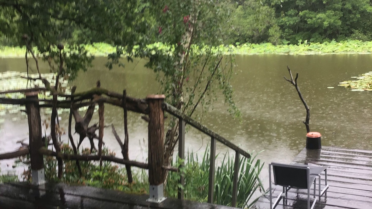 Photo of Outdoor in Saint-Yan