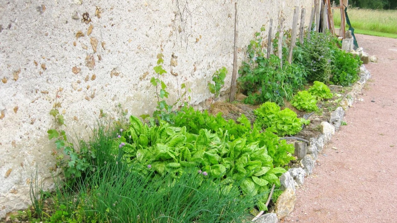 Photo of Outdoor in Mazieres-de-Touraine