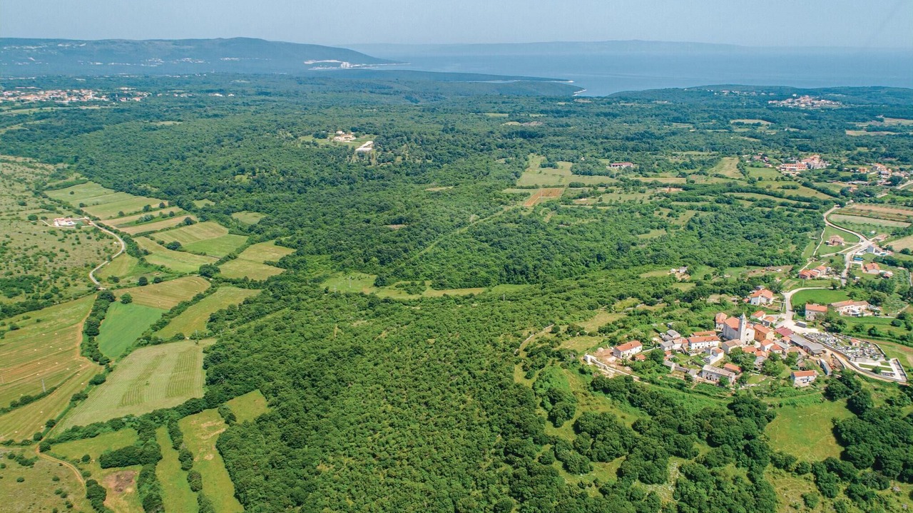 Photo of Others in Krnica