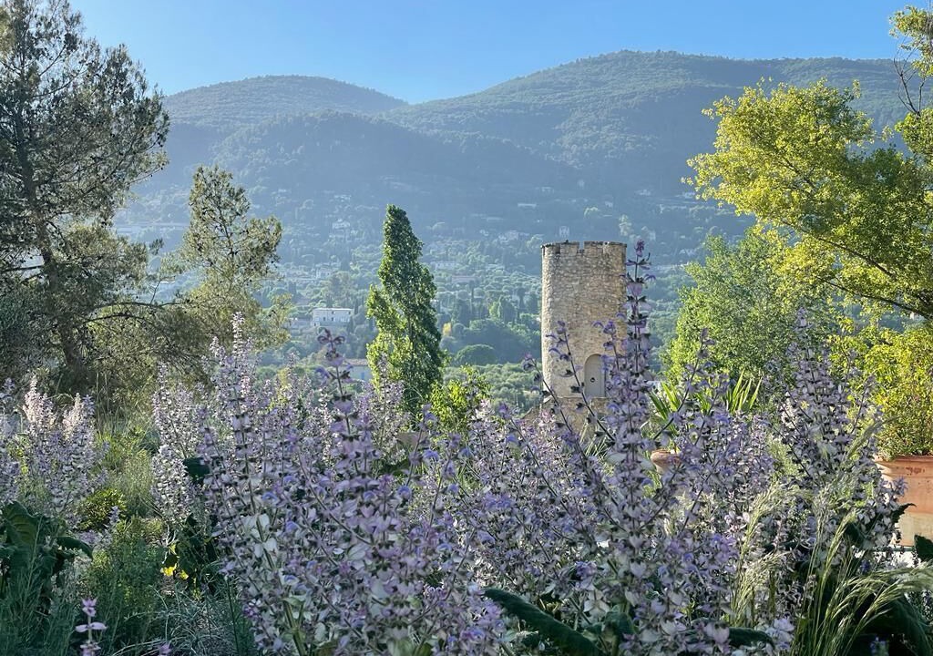 Photo of Others in Grasse