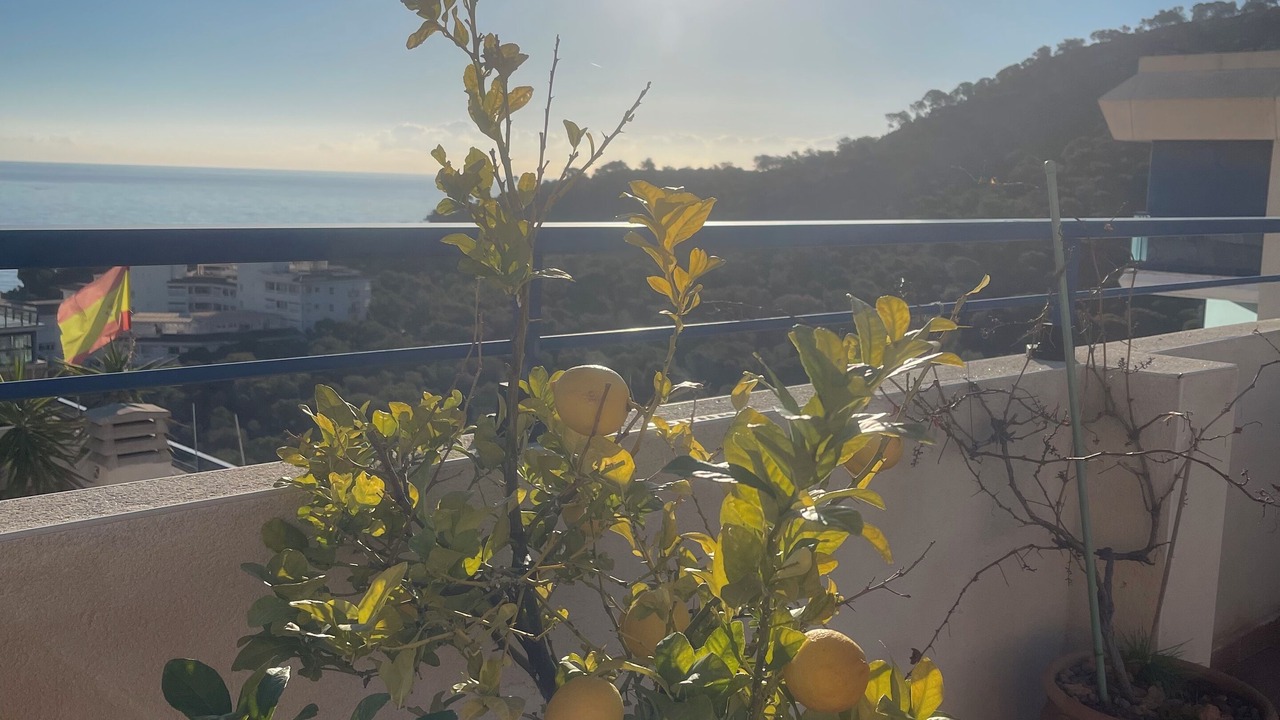 Photo of Outdoor in Villajoyosa