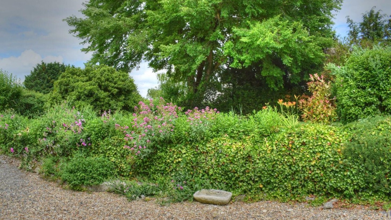 Photo of Outdoor in Montresor